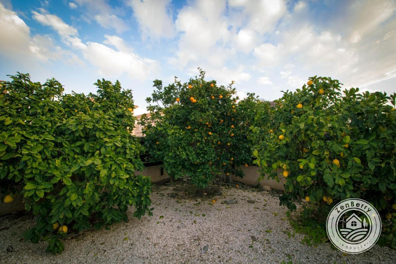 Appartamento Zenberry House Mandria  Esterno foto